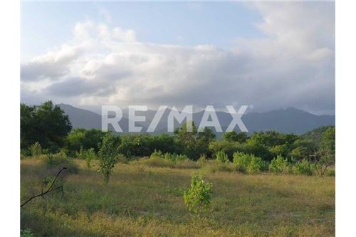 Residential - Plot of Land for Investment - Los Cabos, Mexico - Mexico - 3 - 1001122118-9