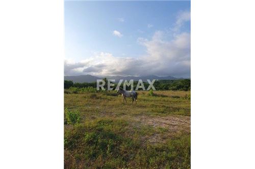 Residential - Plot of Land for Investment - Los Cabos, Mexico - Mexico - 4 - 1001122118-9