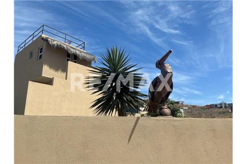 Residential - House - Todos Santos, Mexico - Mexico - 24 - 1001122140-7