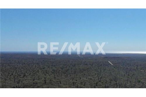 Residential - Plot of Land for Investment - La Paz, Mexico - Mexico - 13 - 1001122088-7