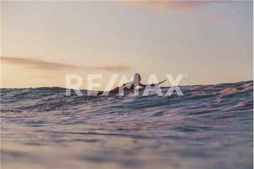 Residential - Plot of Land for Investment - La Paz, Mexico - Mexico - 19 - 1001122088-7