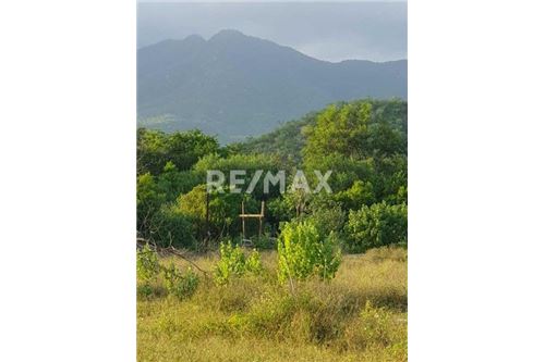 Residential - Plot of Land for Investment - Los Cabos, Mexico - Mexico - 5 - 1001122118-9