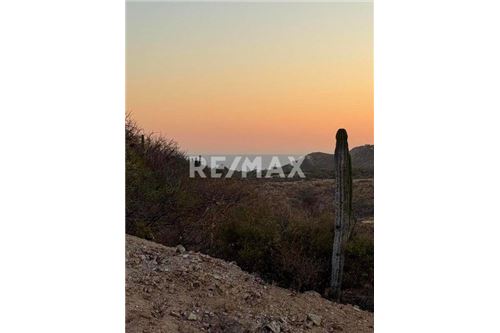 Residential - Plot of Land for Investment - San José del Cabo, Mexico - Mexico - 14 - 1001122110-25