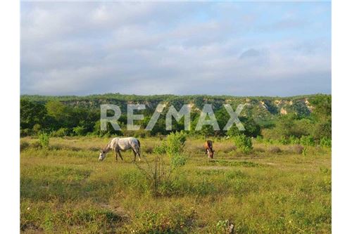 Residential - Plot of Land for Investment - Los Cabos, Mexico - Mexico - 6 - 1001122118-9