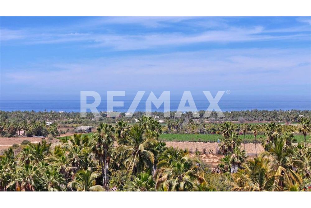 Residential - House - Todos Santos, Mexico - Mexico - 22 - 1001122140-8