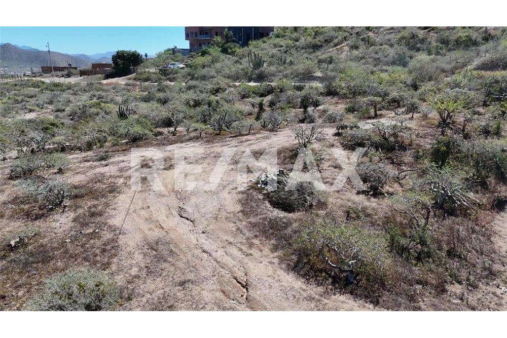 Residential - Plot of Land for Investment - Todos Santos, Mexico - Mexico - 11 - 1001122140-6