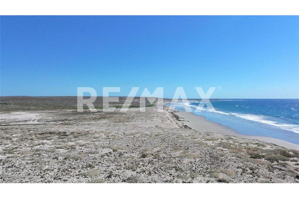 Residential - Plot of Land for Investment - La Paz, Mexico - Mexico - 11 - 1001122088-7