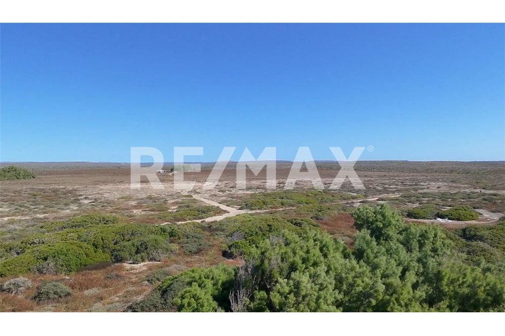 Residential - Plot of Land for Investment - La Paz, Mexico - Mexico - 9 - 1001122088-7