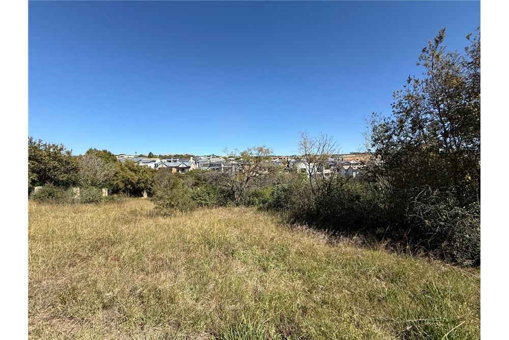 Residential - Vacant Land - The Hills Game Reserve Estate, Gauteng - South Africa - 7 - 1031414150-101