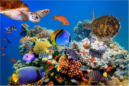 Slider Image Thumbnail