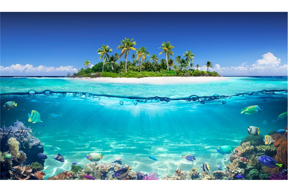 Residential - House - Providence, Seychelles - Seychelles - 8 - 1036001001-13