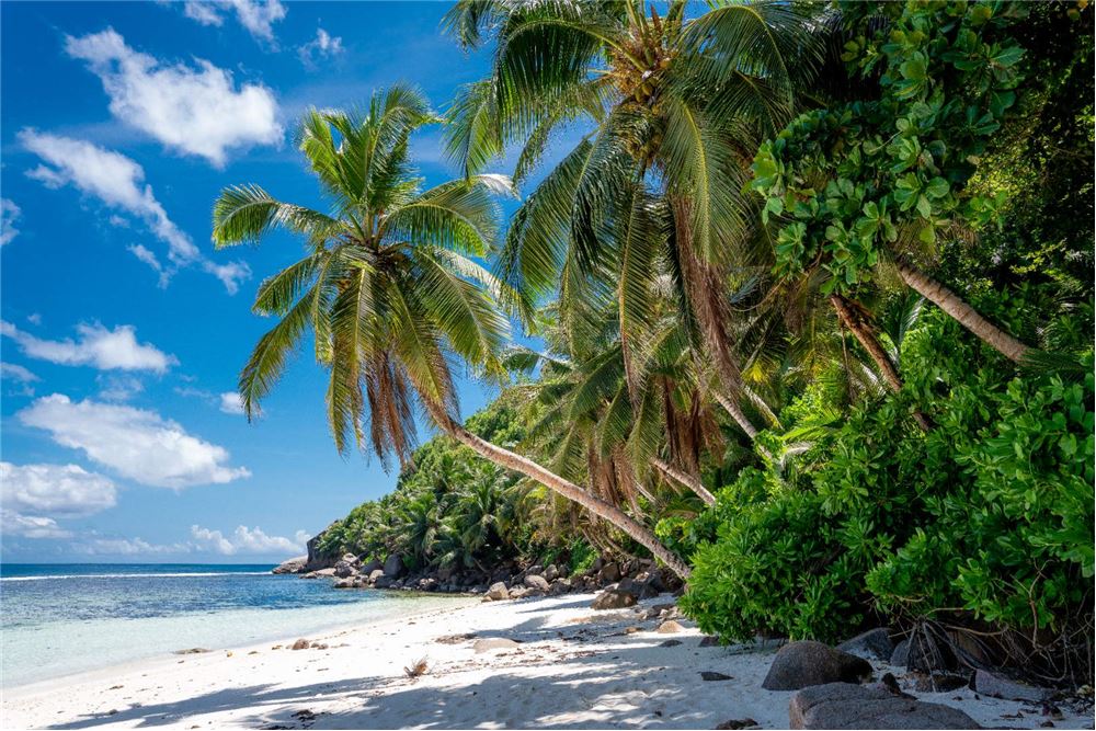 Residential - Vacant Land - Baie St. Anne, Seychelles - Seychelles - 9 - 1036001001-28