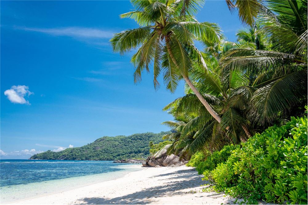 Residential - Vacant Land - Baie St. Anne, Seychelles - Seychelles - 10 - 1036001001-28