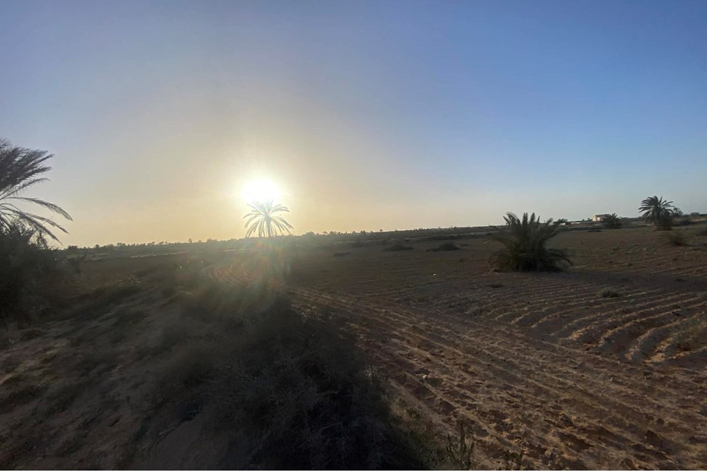Terrain 13 000 m² près plage – Cheikh Yahya