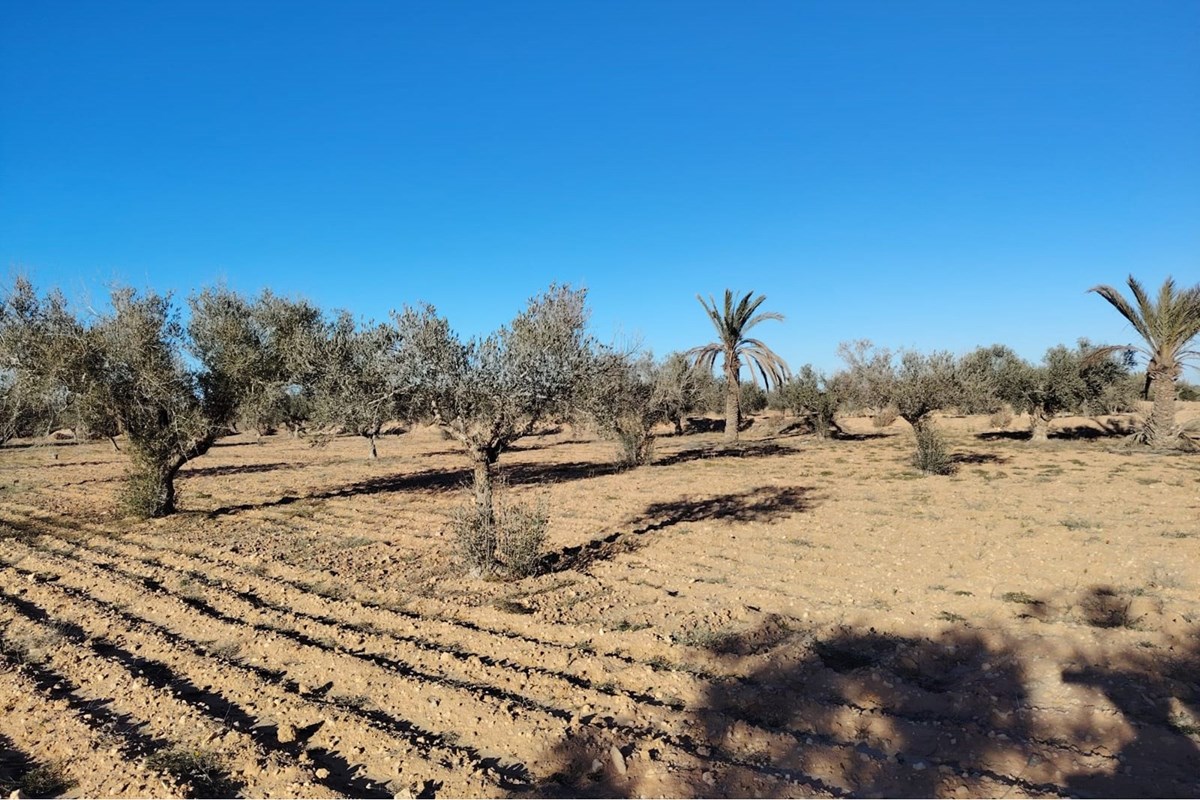 terrain surface 6173m2 a vendre