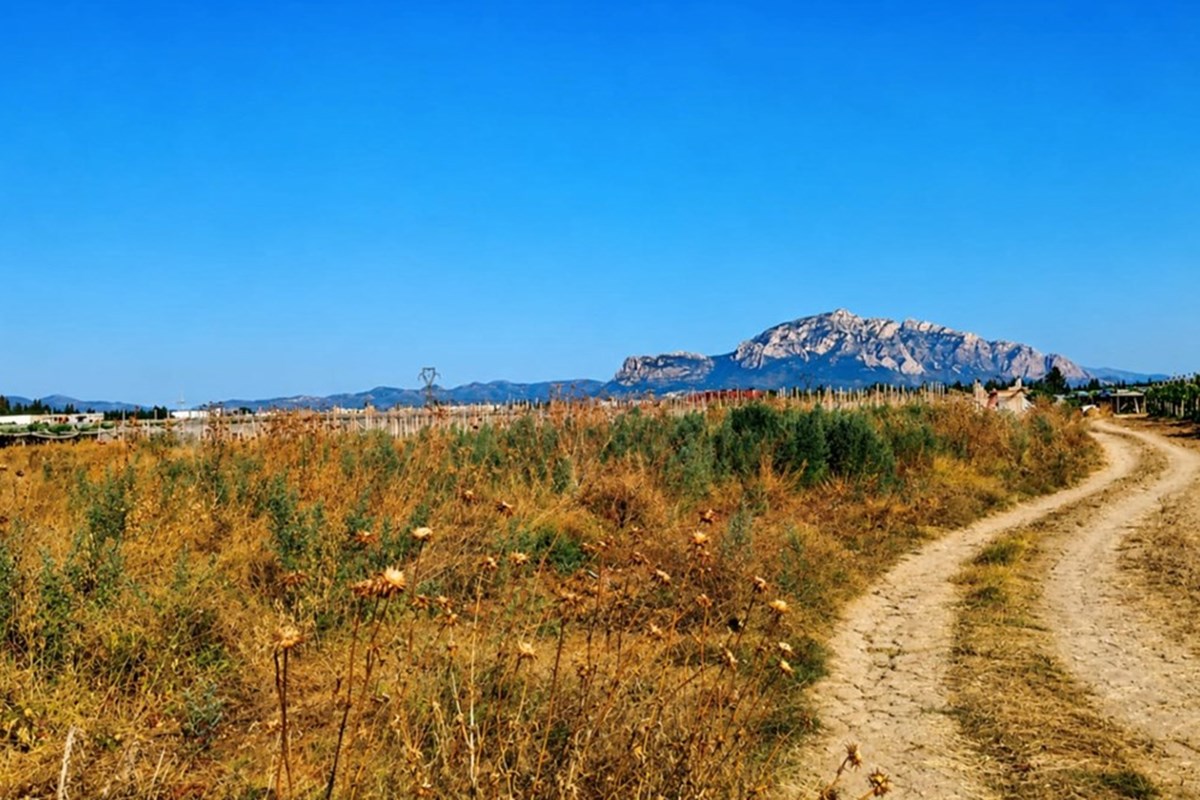 À VENDRE – Terrain Agricole à Ouled Ouzra, Mornag