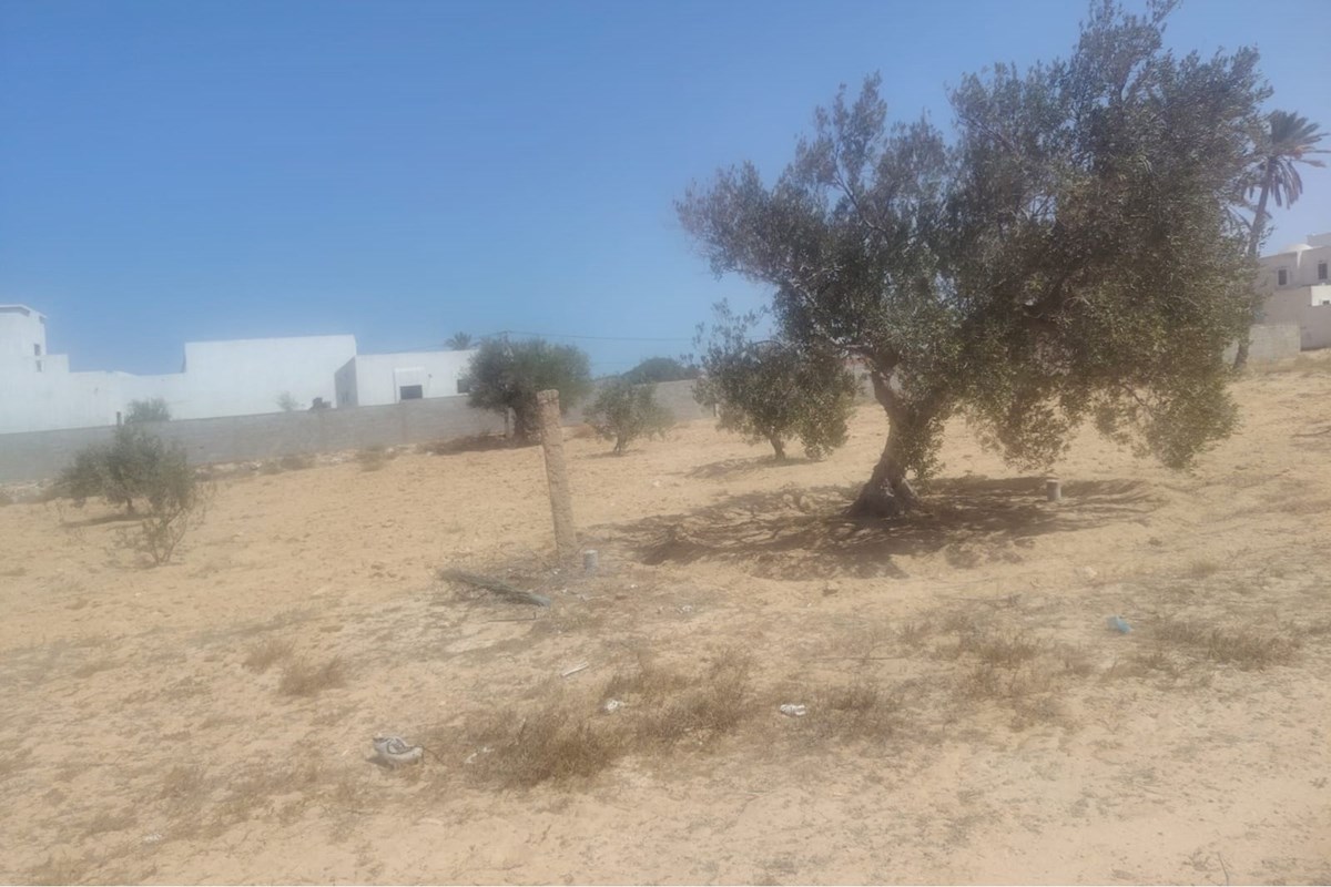 Terrain à vendre Bou Mallel