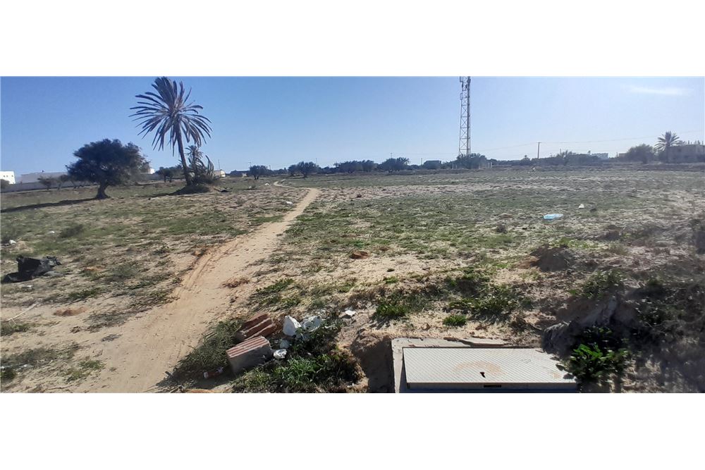 A vendre un terrain à Sedghiane Djerba