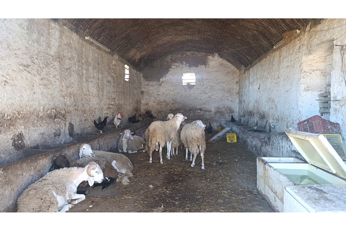 À VENDRE – EXPLOITATION AGRICOLE DE 10,5 HECTARES