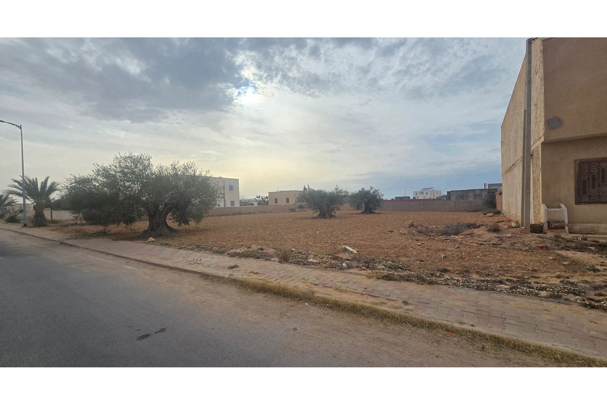 Terrain 1300 m² à Ajim – 1ère Position