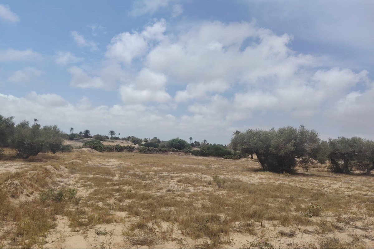 Terrain à GHIZEN Titre bleu, permis