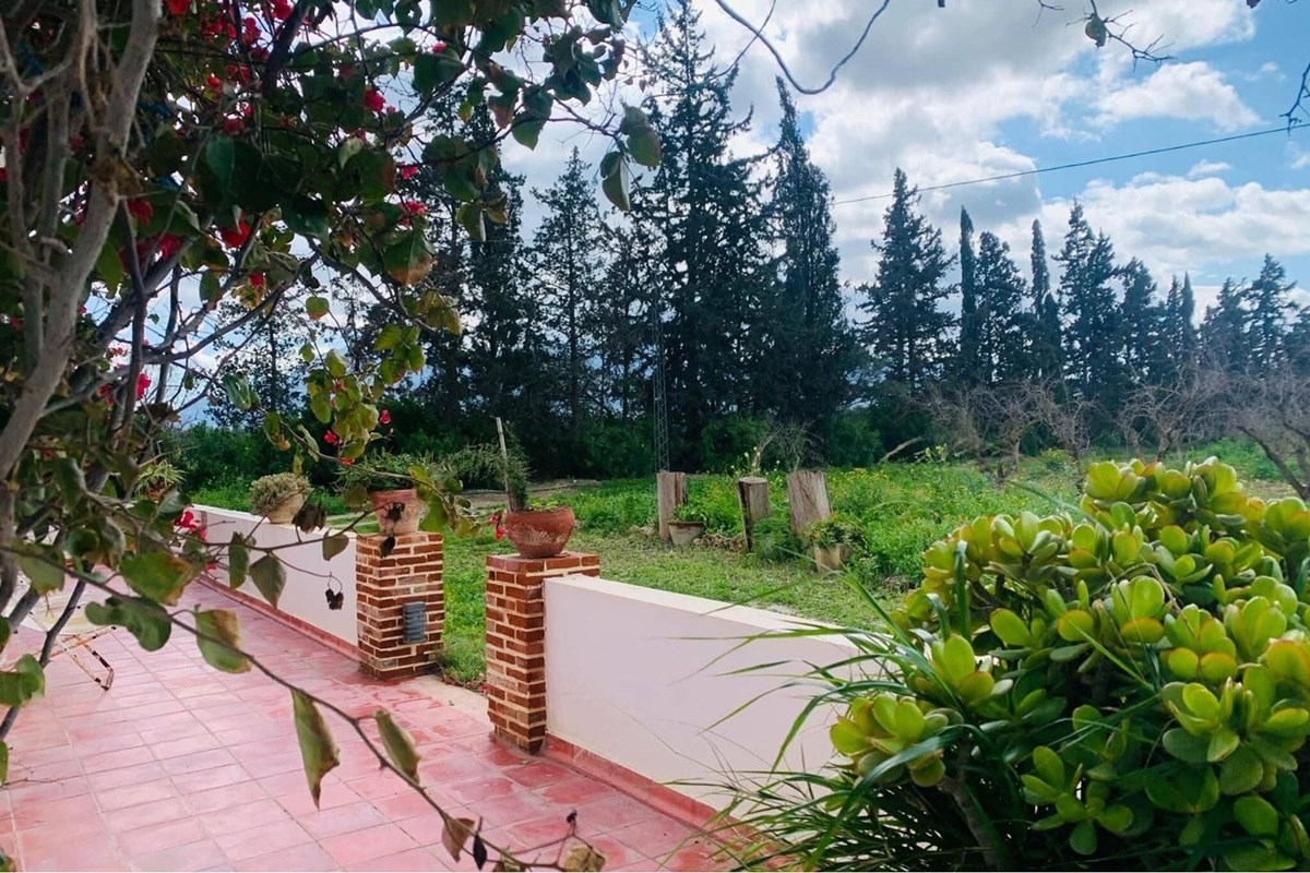 Ferme bio 18 Hectars avec maison à Zaghouan