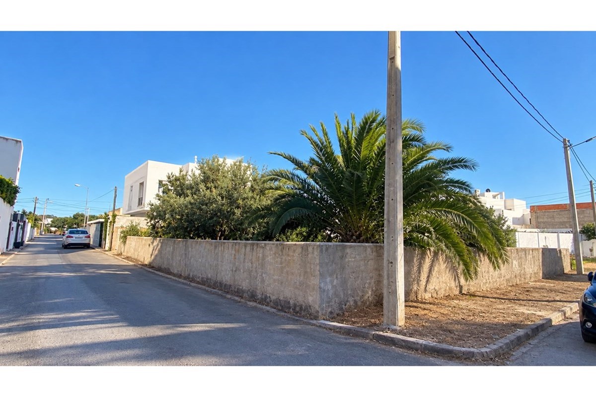 "Prime Gammarth Land: 450sqm of Luxury Awaits You"