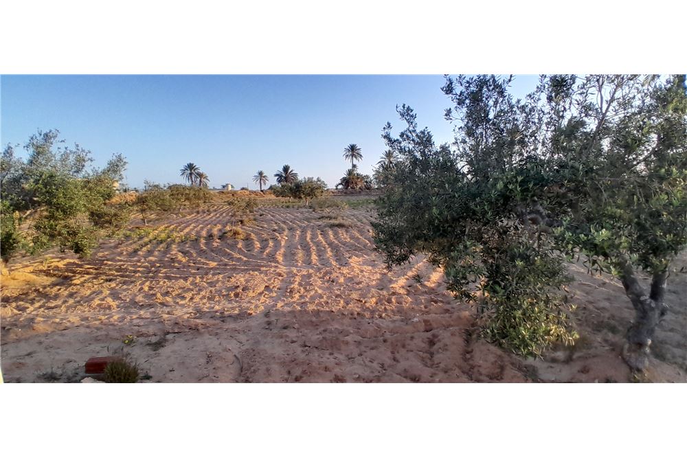 A vendre un terrain à Hdadda.