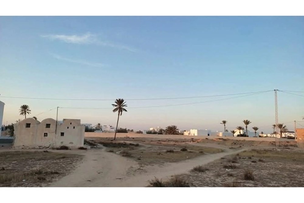 Terrain à Vendre au Cœur de Djerba-Midoun