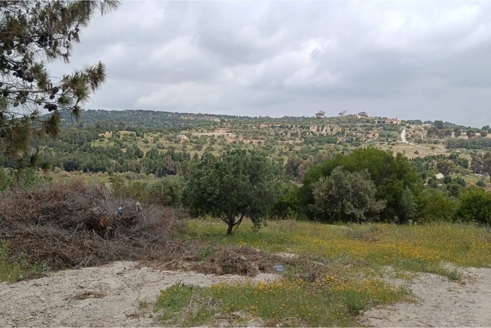 A Vendre Terrain à Oued Lassoued - Hammamet