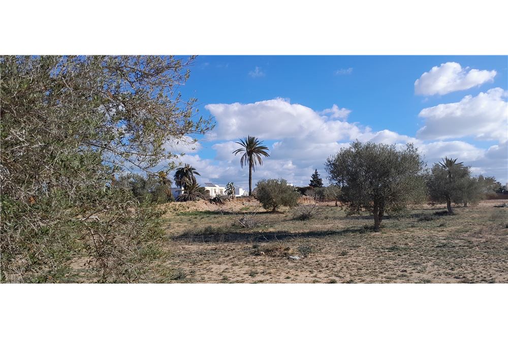 A vendre un terrain à Tellala Midoun