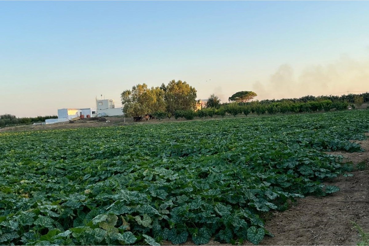 À Vendre – Une Ferme Productive de 11,1 Hectares