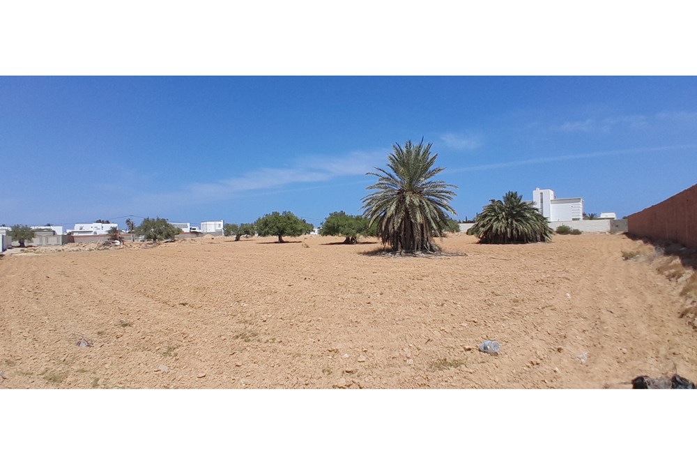 À vendre un terrain à Tezdaîne