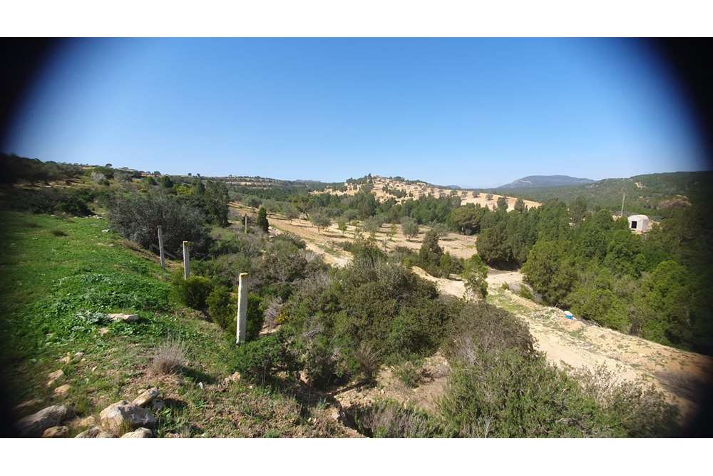 A Vendre Terrain à Hammamet - Oued Lassoued