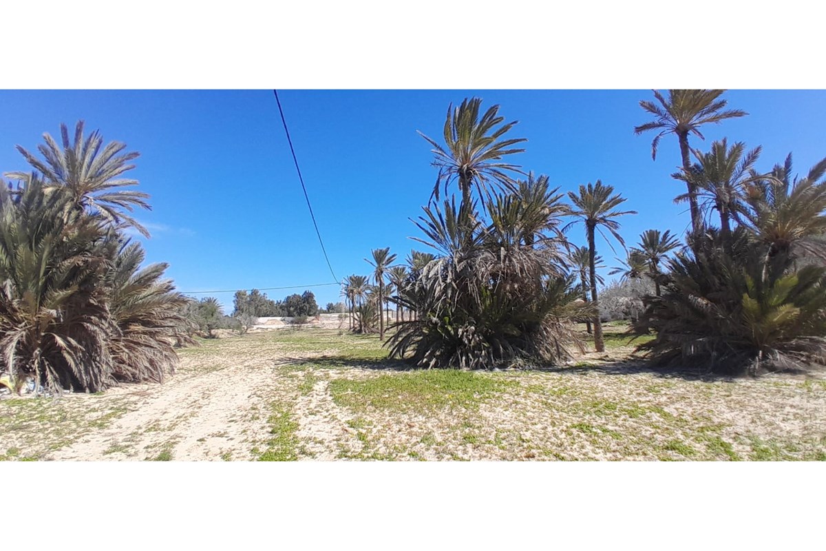 A vendre un terrain à Mguerssa