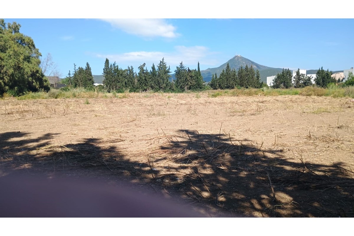 LOTS DE TERRAIN À BÂTIR À ZAOUIA MOR