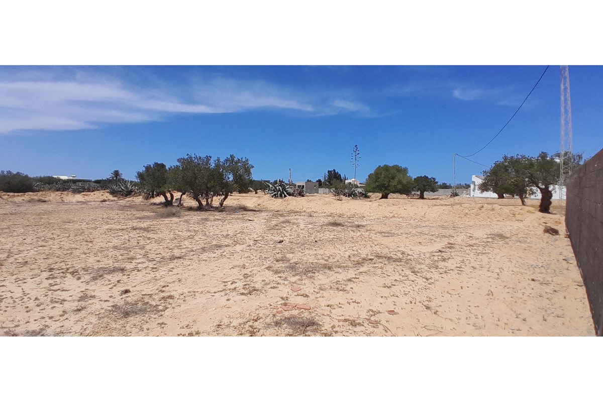 A vendre un terrain à Arkou