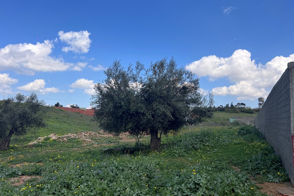 A vendre un terrain à Ennahli