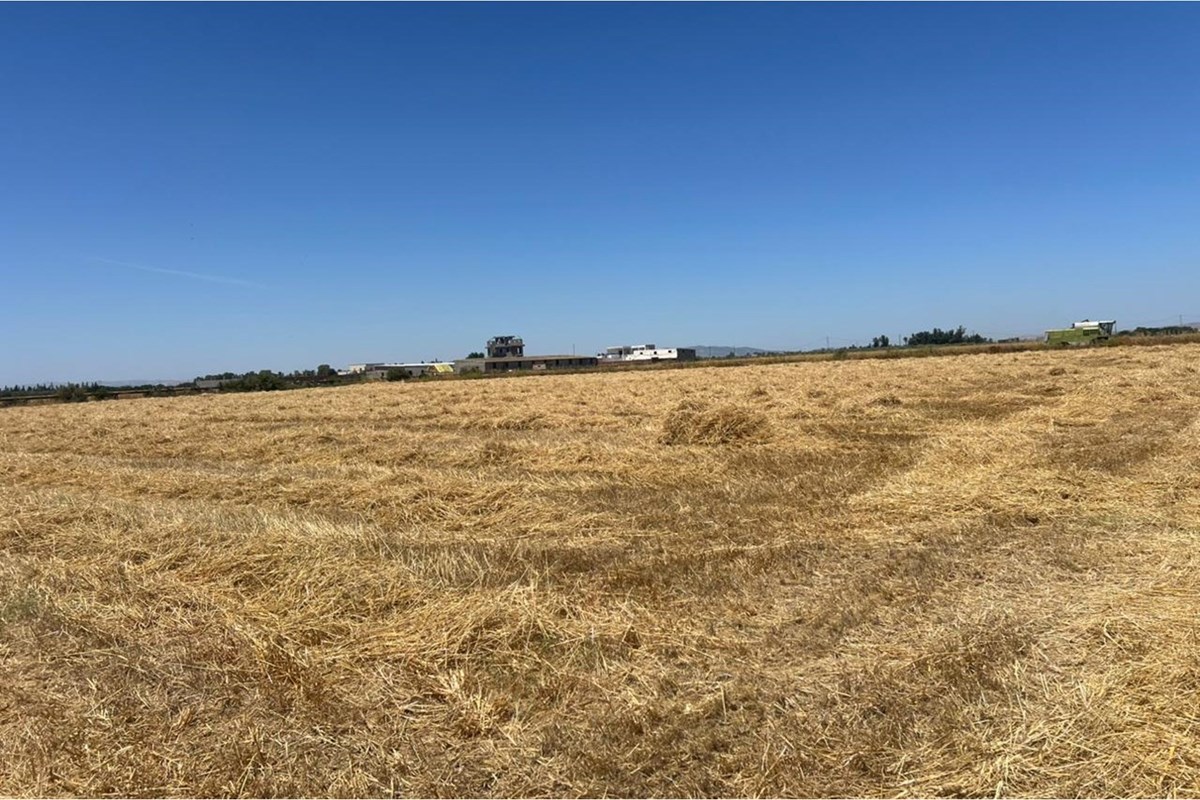Terrain agricole à vendre à Sidi Thabet