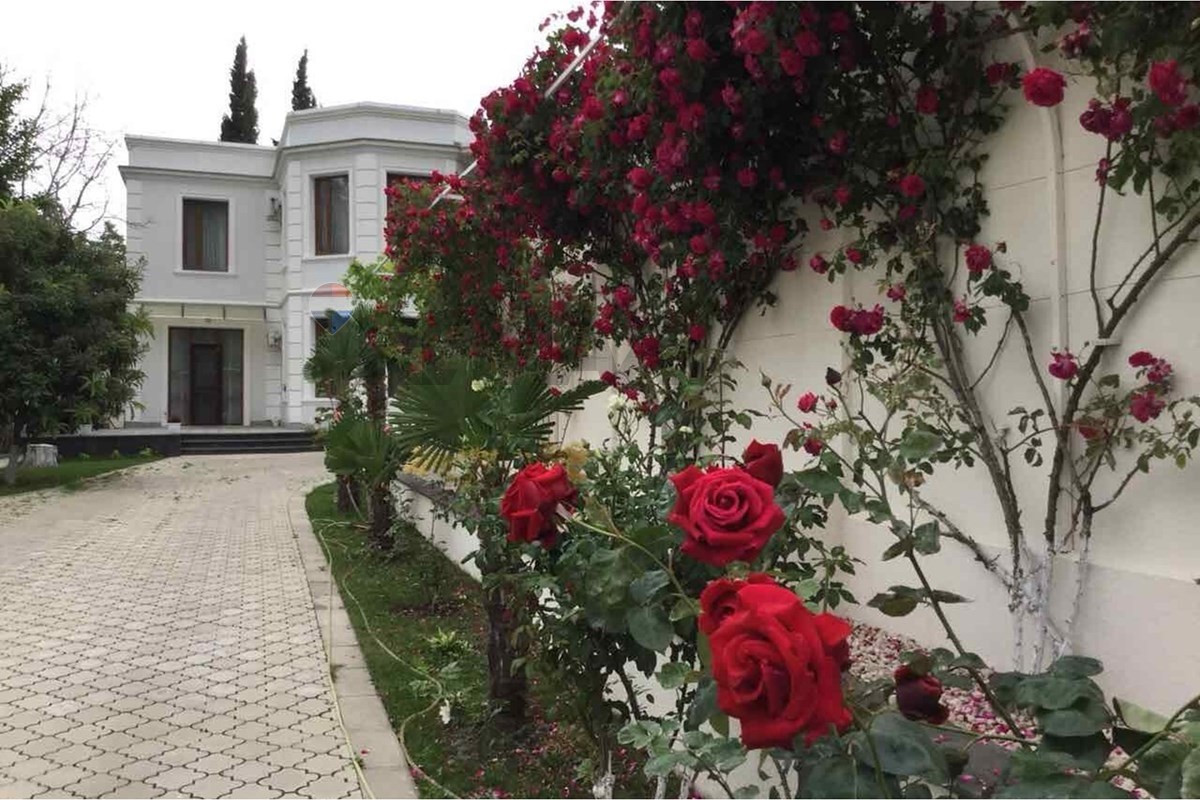 Unique Diplomatic Residence in Krtsanisi - Photo 4