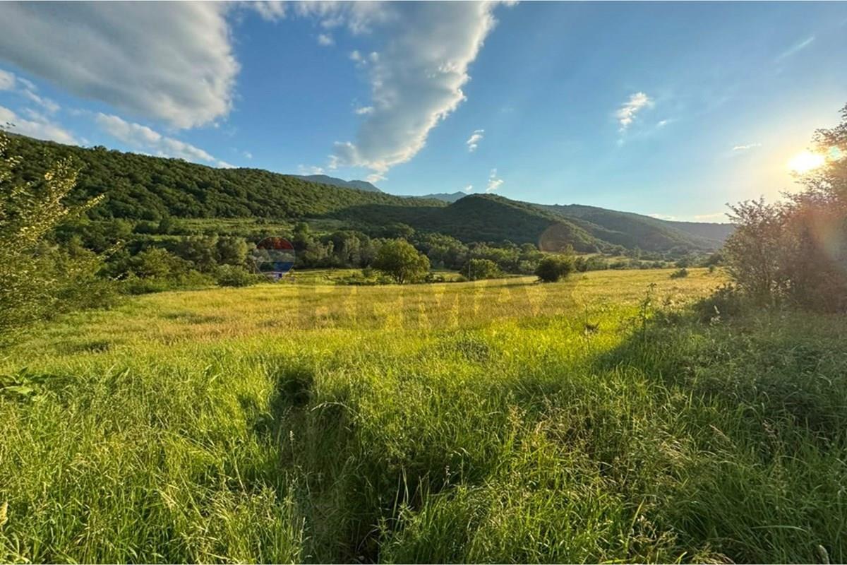 საინვესტიციო მიწა თონეთში პროექტით და გდგ-ით - Photo 2