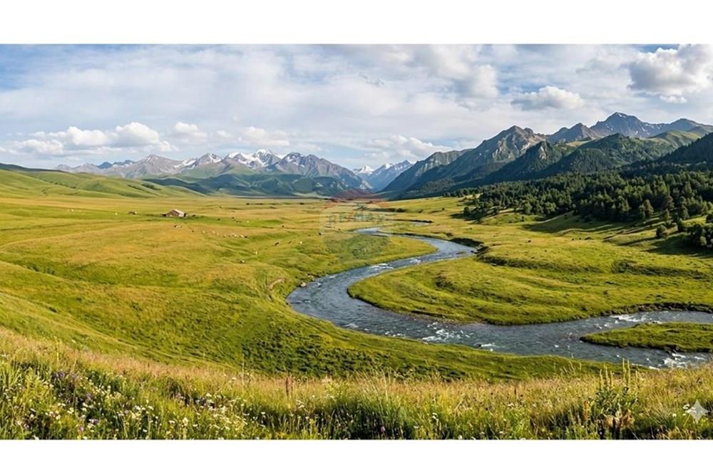 For Sale: 300 hectare Land plot