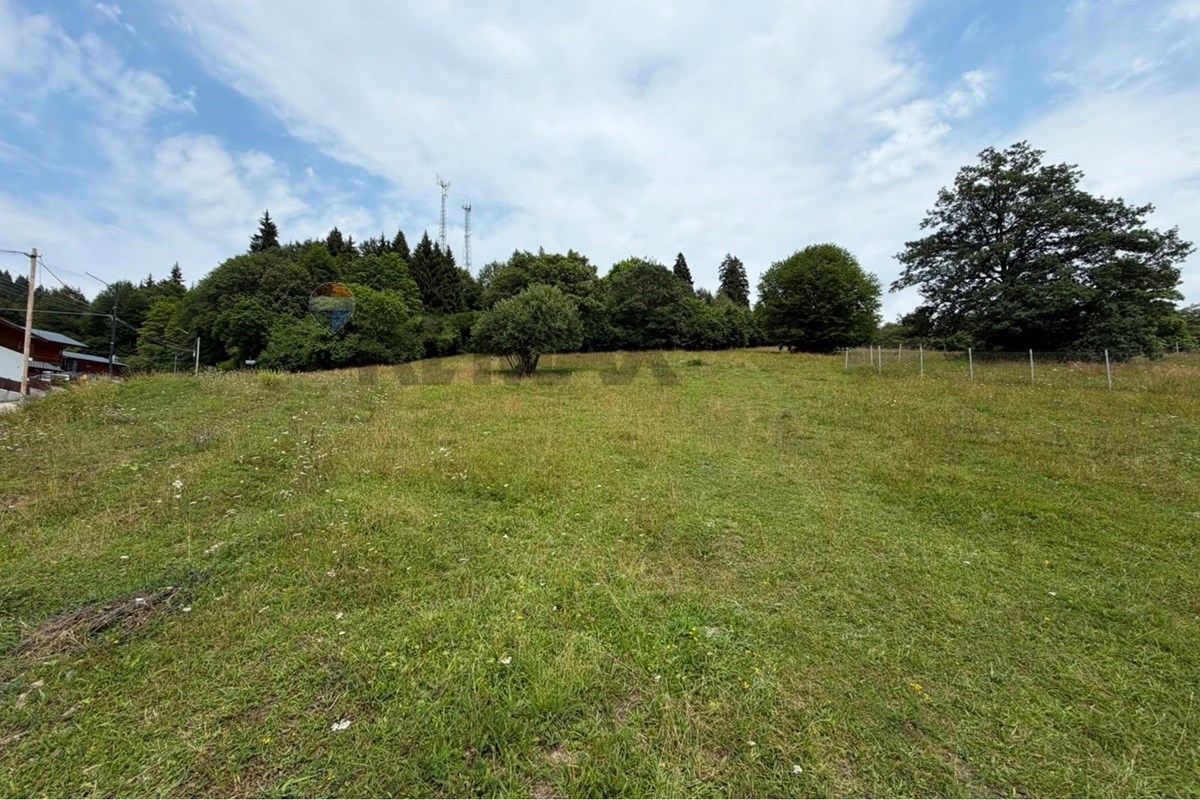 Land plot for sale in Bakuriani - Photo 3
