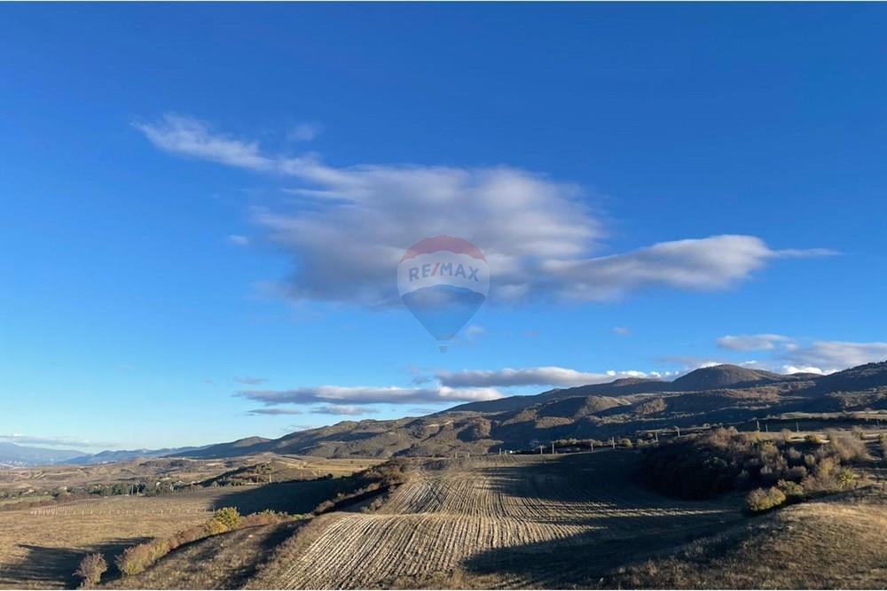 Land for sale in Kaspi district - Photo 3