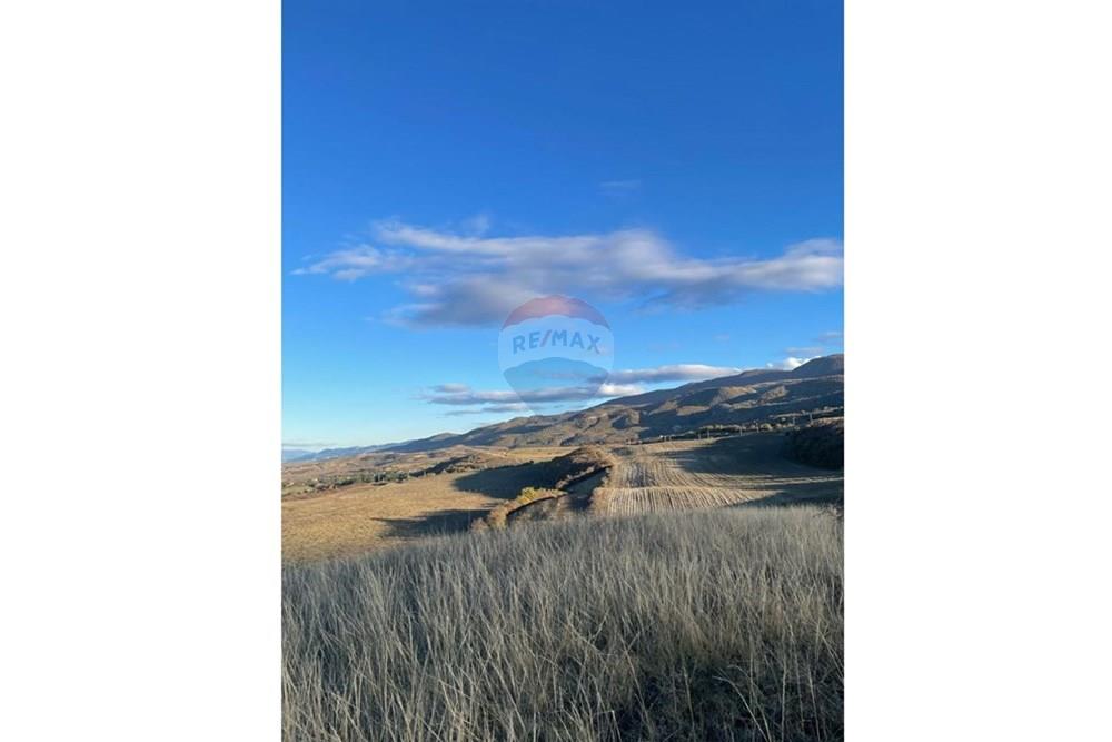 Land for sale in Kaspi district - Photo 2