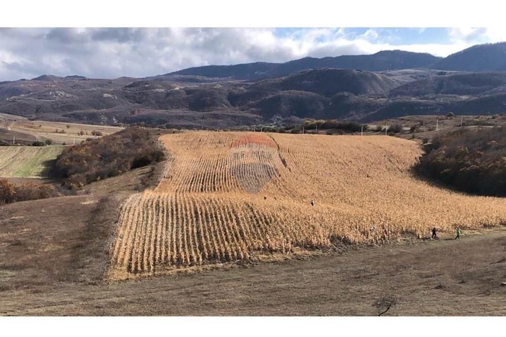 Land for sale in Kaspi district - Photo 4