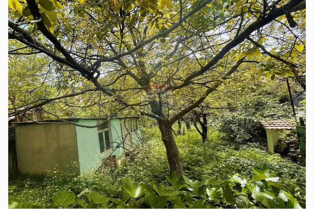 Land plot for sale in Tskneti - Photo 3