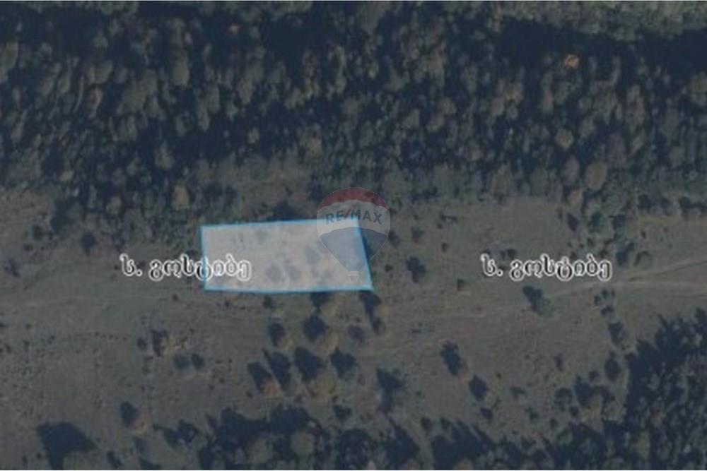 Land for Sale in Gostibe-Kaspi Municipality - Photo 3