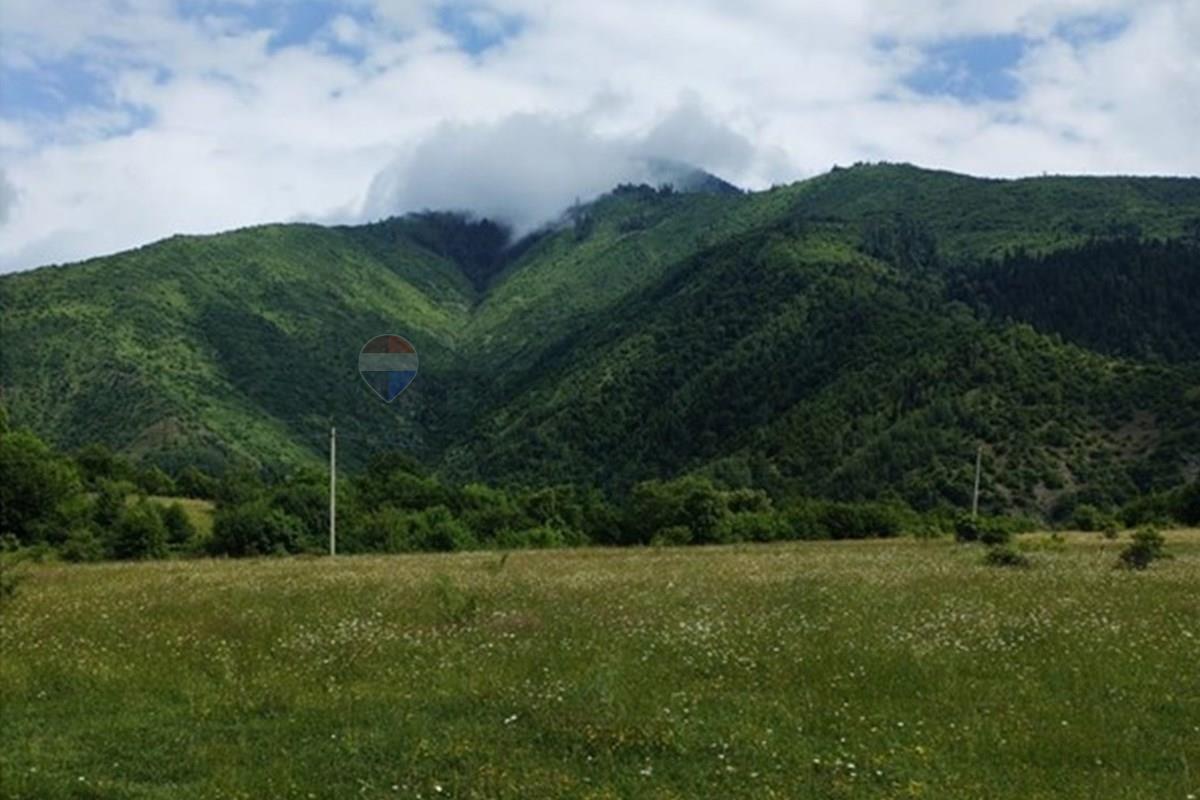 Land plot for sale in Tsemi - Photo 2