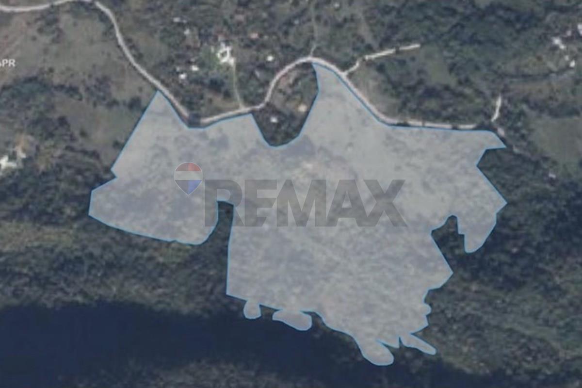 18.8 ha investment land for sale in Ambrolauri - Photo 2